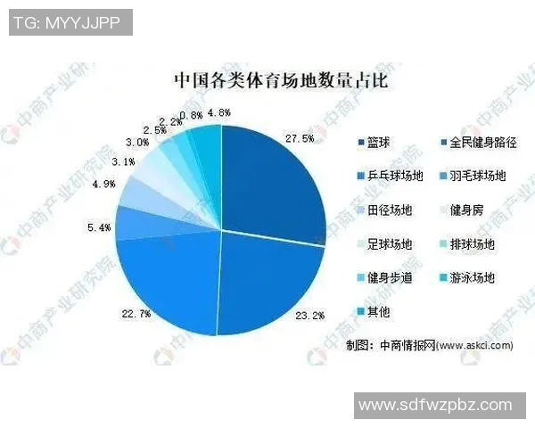 重庆网球队实力分析与数据解读：揭示竞技表现与发展潜力